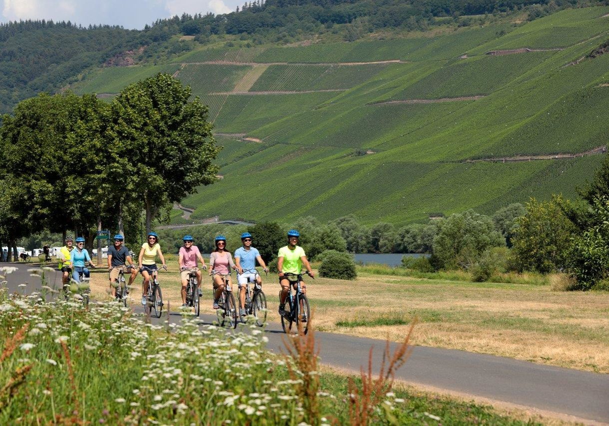 RHINE_BICYCLE_Moselle